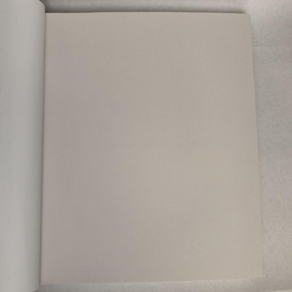 Andrea Rossi Berggi 54450-3