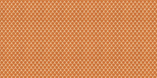 Alessandro Allori Breeze RDT 2208-5
