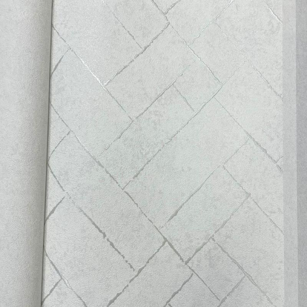 Andrea Rossi Cavolli 54423-4