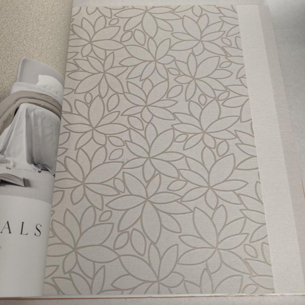 Andrea Rossi Berggi 54444-3