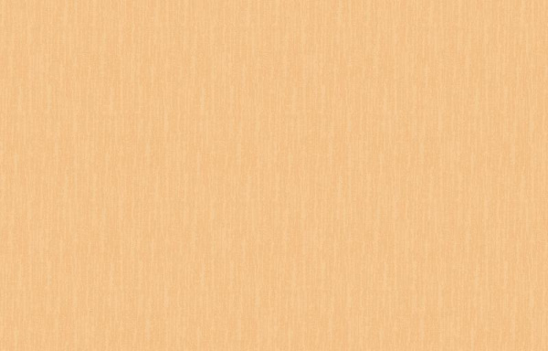 Loymina Shade SD2 003_1