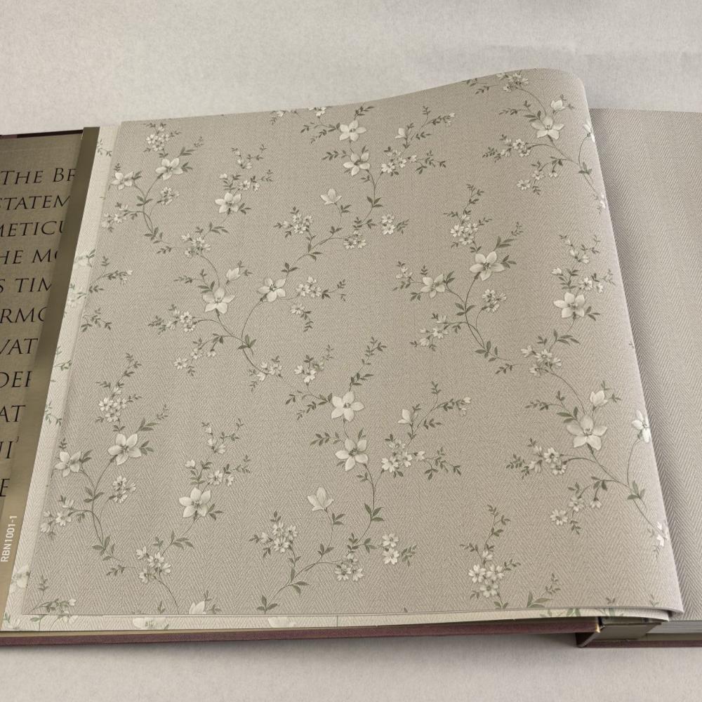 Alessandro Allori Bruni RBN 1001-2