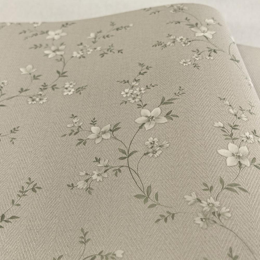 Alessandro Allori Bruni RBN 1001-2