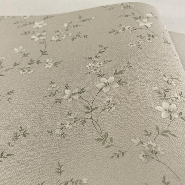 Alessandro Allori Bruni RBN 1001-2