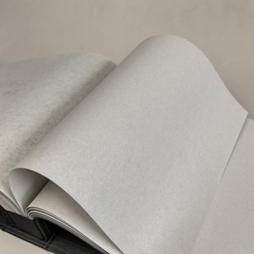 Milassa Ambient AM 9 008