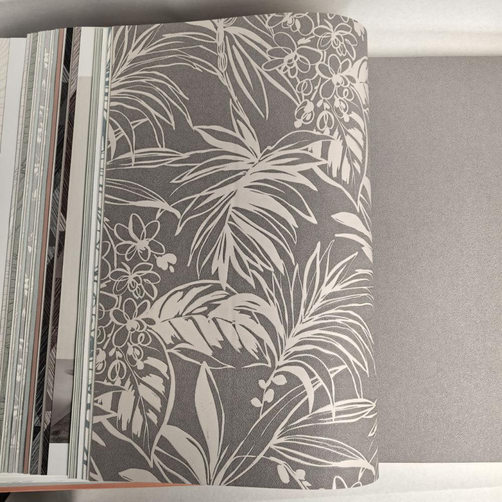 Andrea Rossi Berggi 54446-4