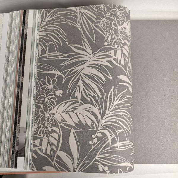 Andrea Rossi Berggi 54446-4